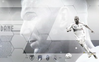 乐竞体育热评-B席这热爱真纯粹