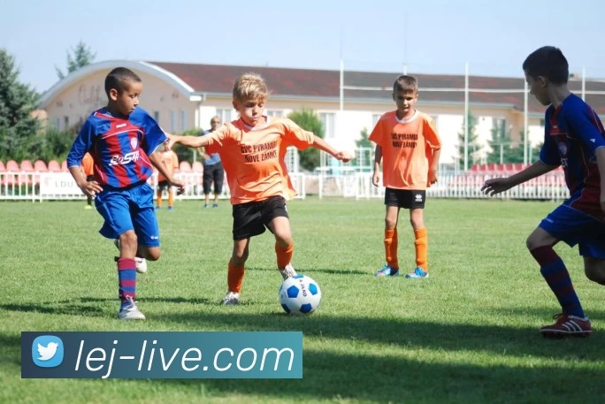 乐竞体育官网平台生态图